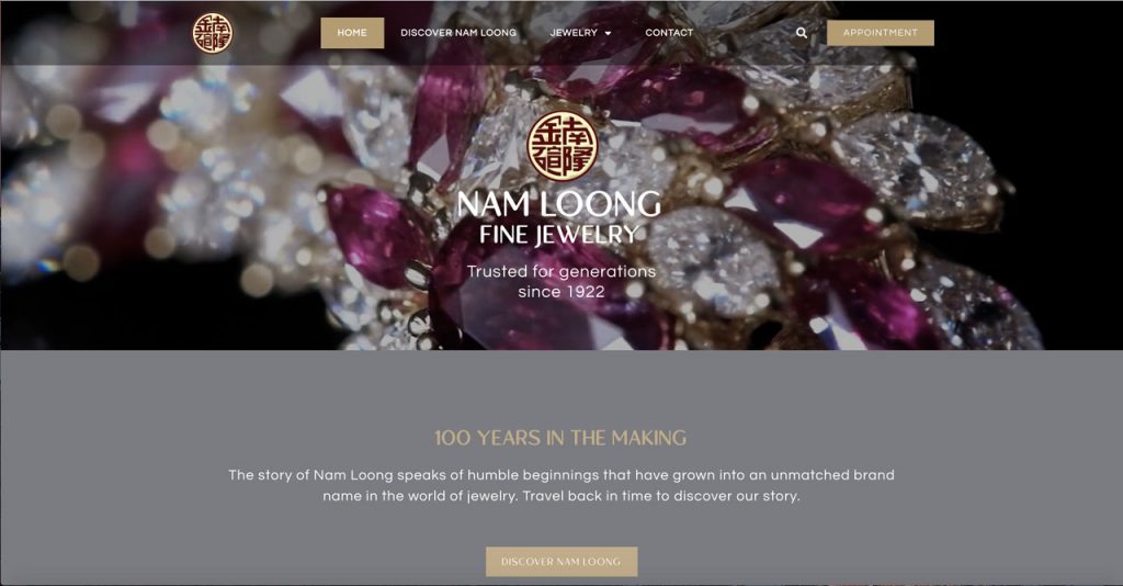 Website Design Client Portfolio 11